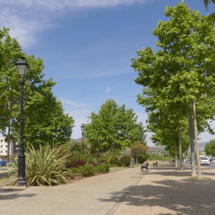 Proyecto del Parque Verónica de Antequera