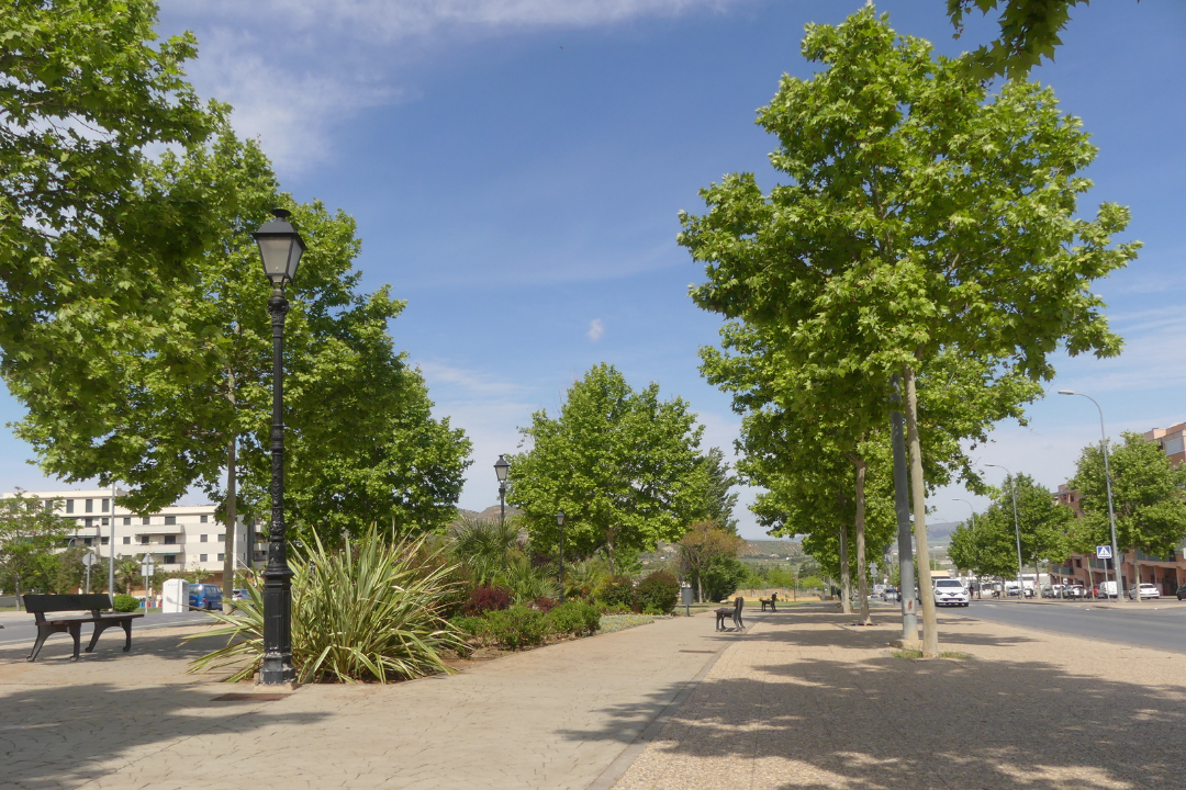 proyecto-del-parque-veronica-de-antequera